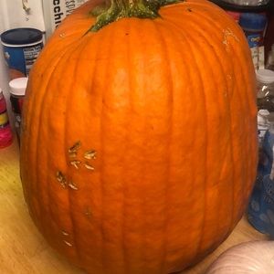 Meet your Posher, Joshua